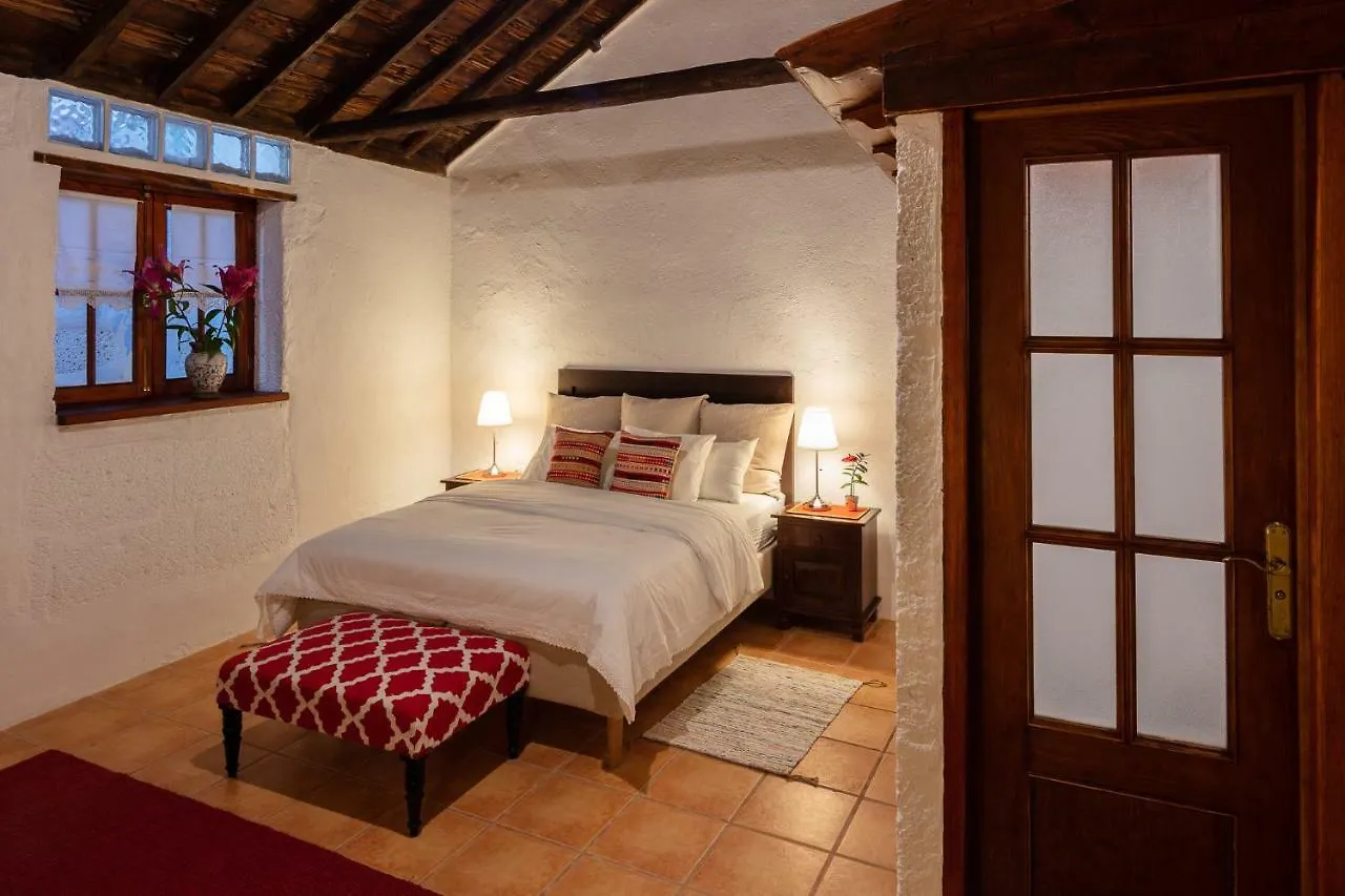 El Sitio De La Casa Pension Arico el Nuevo Landhuis